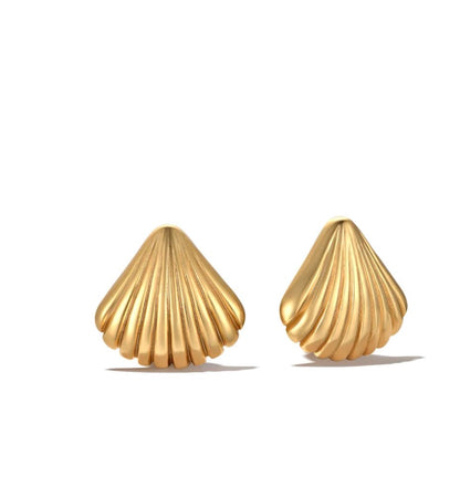 Seashell earrings
