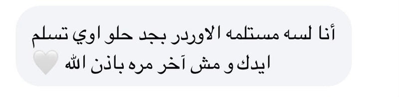 Customer review 3