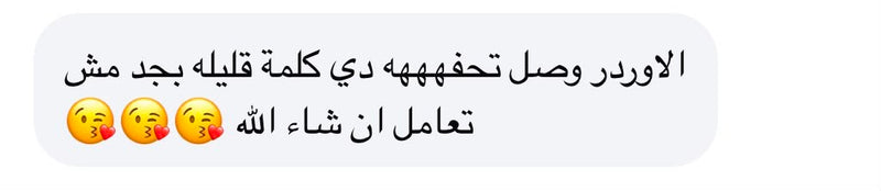 Customer review 29