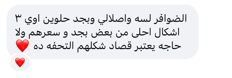 Customer review 24